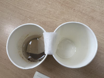 370a5b5362c84f56ada495f4a4ca8e6.png 370a5b5362c84f56ada495f4a4ca8e6.png